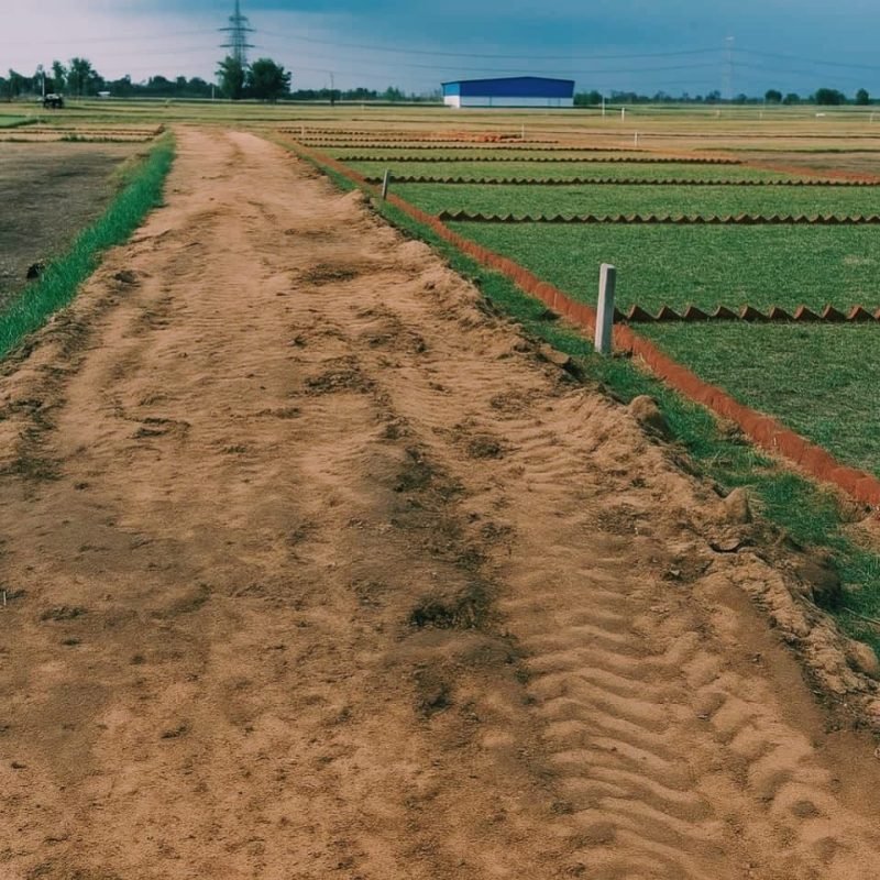 WhatsApp Image 2025-09-28 at 6.26.41 PM (1)