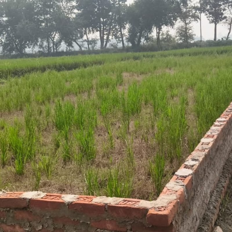 WhatsApp Image 2025-11-04 at 12.28.33 PM (1)