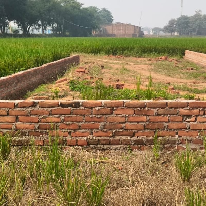 WhatsApp Image 2025-11-04 at 12.28.34 PM