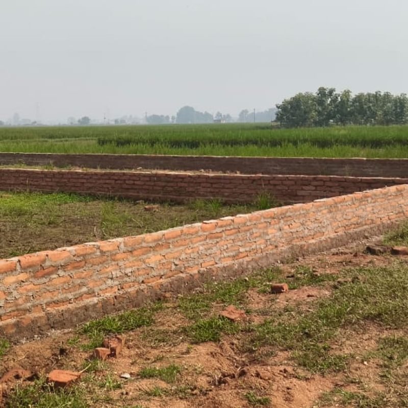 WhatsApp Image 2025-11-04 at 12.28.35 PM (1)