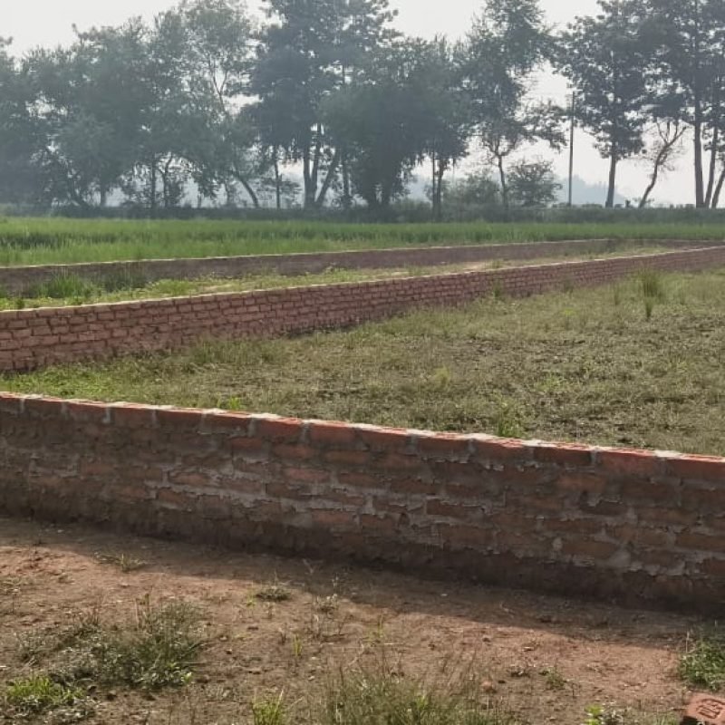 WhatsApp Image 2025-11-04 at 12.28.35 PM