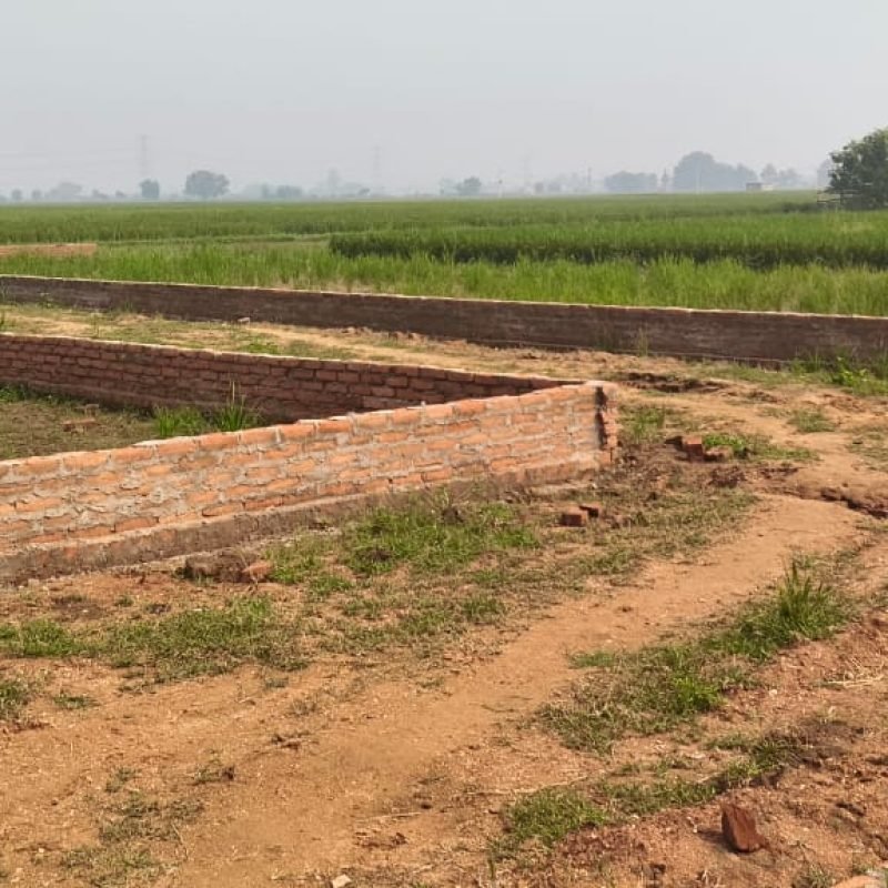 WhatsApp Image 2025-11-04 at 12.28.36 PM